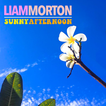 Liam Morton - Sunny Afternoon