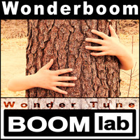 WonderTune BOOMlab / - Wonderboom