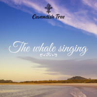 Cavendish Tree / - The Whale Singing