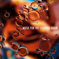 Brain Study Music Guys, Study Music & Sounds, Study Power - Music for the Studying Brain