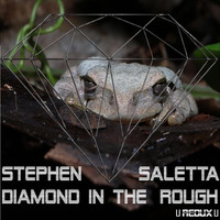 Stephen Saletta - Diamond in the Rough (Redux) (Explicit)