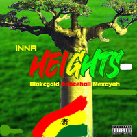 Blakcgold Dancehall Mexayah - Inna Heights (Explicit)