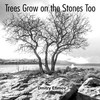 Dmitry Efimov - Trees Grow on the Stones Too