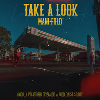 Manifold - Take A Look