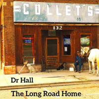 Dr Hall - The Long Road Home