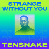 Tensnake feat. Daramola - Strange Without You