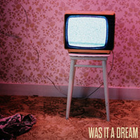 Darlyn - Was It a Dream