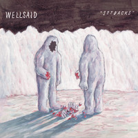 Wellsaid - Setbacks