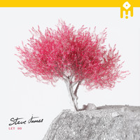 Steve James - let go