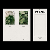 DELACOUR - The Palms