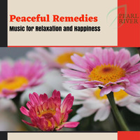 The Inner Chord - Peaceful Remedies - Music For Relaxation And Happiness
