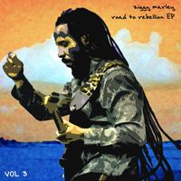 Ziggy Marley - Road To Rebellion, Volume 3