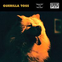 Guerilla Toss - Human Girl