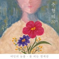 Joo Hyun Mi - Joo Hyun Mi 20th, Pt.1