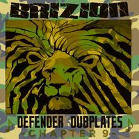 Brizion - Defender Dubplates Chapter 9