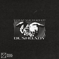 Bushbaby - What We Had EP