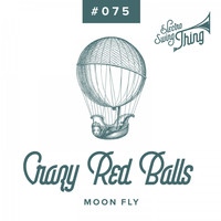 Crazy Red Balls - Moon Fly