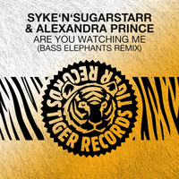 Syke'n'Sugarstarr & Alexandra Prince - Are You Watching Me (Bass Elephants Remix)