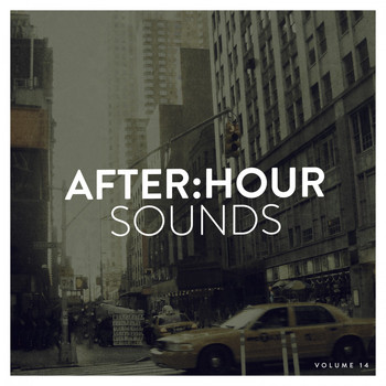 Various Artists - After:Hour Sounds, Vol. 14
