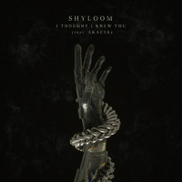 Shyloom - I Thought I Knew You