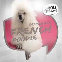 Beauriche - French Poodle