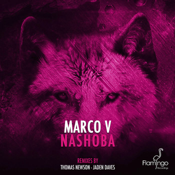 Marco V - Nashoba