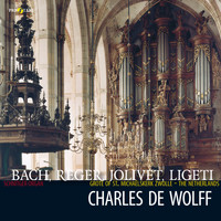 Charles de Wolff - Charles de Wolff, Schnitger organ, Grote of Sint-Michaëlskerk Zwolle