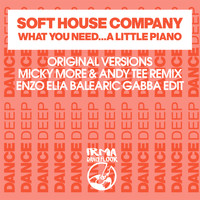 Soft House Company - What You Need/A Little Piano