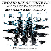 Audio Bigot - Two Shades Of White E.P