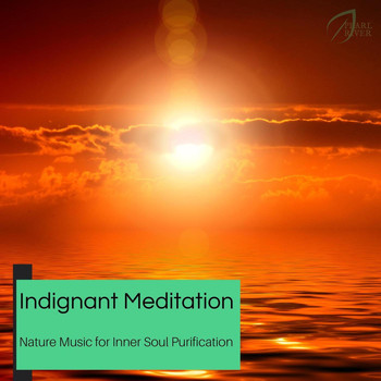 Ambient 11 - Indignant Meditation - Nature Music For Inner Soul Purification