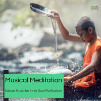 The Inner Chord - Musical Meditation - Nature Music For Inner Soul Purification