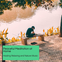 Spiritual Sound Clubb - Peaceful Meditation At Home - Healing Relaxing And Nature Music