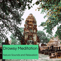 Sapta Chakras - Drowsy Meditation - Nature Sounds And Relaxation