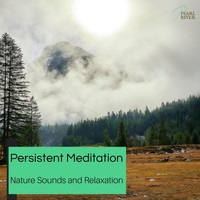 The Focal Pointt - Persistent Meditation - Nature Sounds And Relaxation