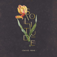 David King - Solitude