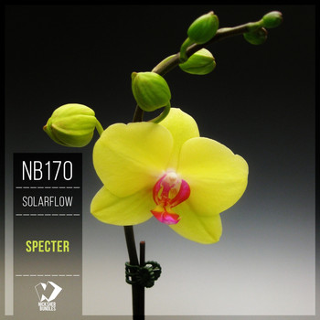 SolarFlow - Specter