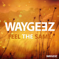 Waygeez - Feel The Same