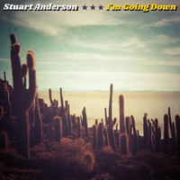 Stuart Anderson - I'm Going Down
