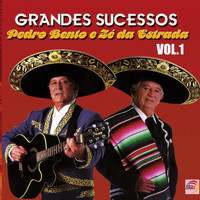 Pedro Bento E Zé Da Estrada - Grandes Sucessos: Vol. 01