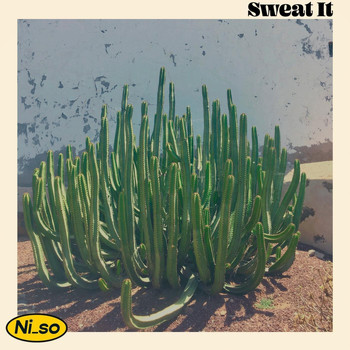 Ni_so - Sweat It