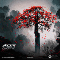 Assaf - Evanescence