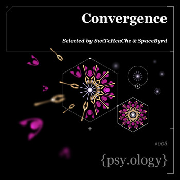 SwiTcHcaChe and Space Byrd - Convergence