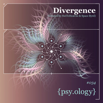 SwiTcHcaChe and Space Byrd - Divergence