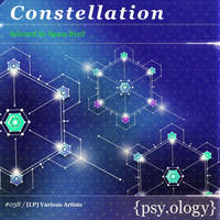 Space Byrd - Constellation