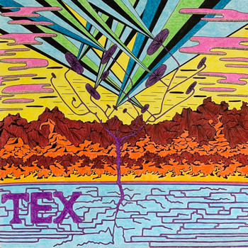 Tex / - TEX