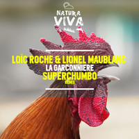 Loïc Roche & Lionel Maublanc - La Garconniere