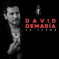 David deMaria - La llama