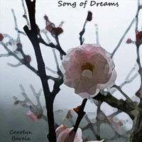 Carolyn Barela - Song of Dreams
