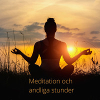 Blandade artister - Meditation och andliga stunder