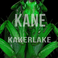 Kane - Kakerlake (Explicit)